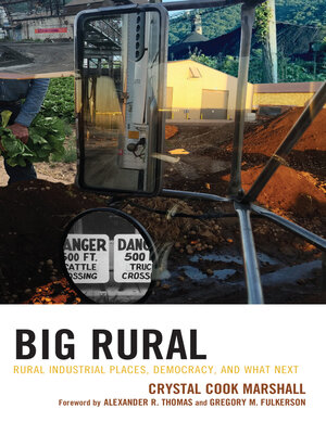 cover image of Big Rural